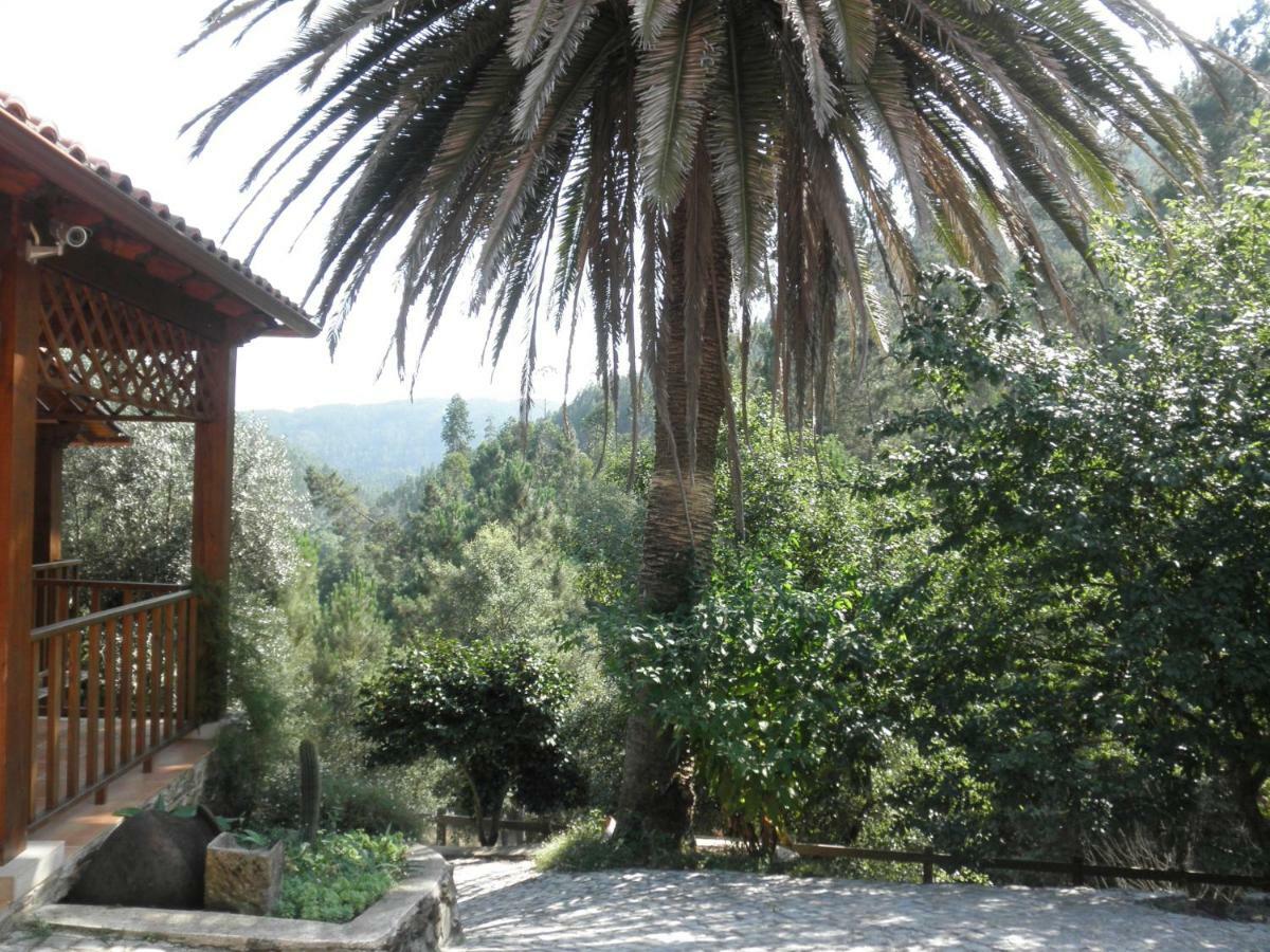 Casa Velha Villa Фигейро дос Виньос Екстериор снимка